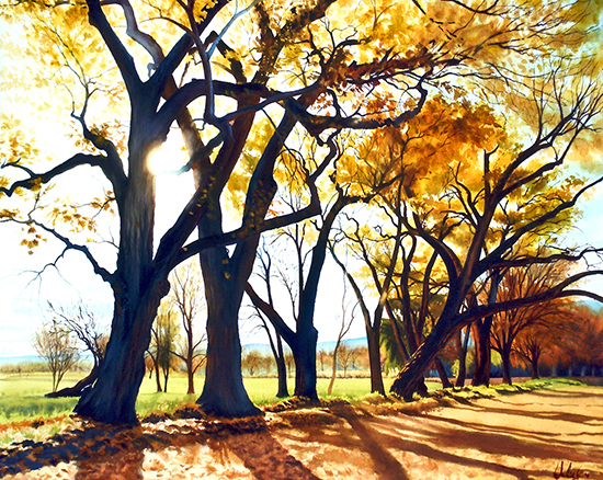 watercolor painting of cottonwood trees in New Mexico